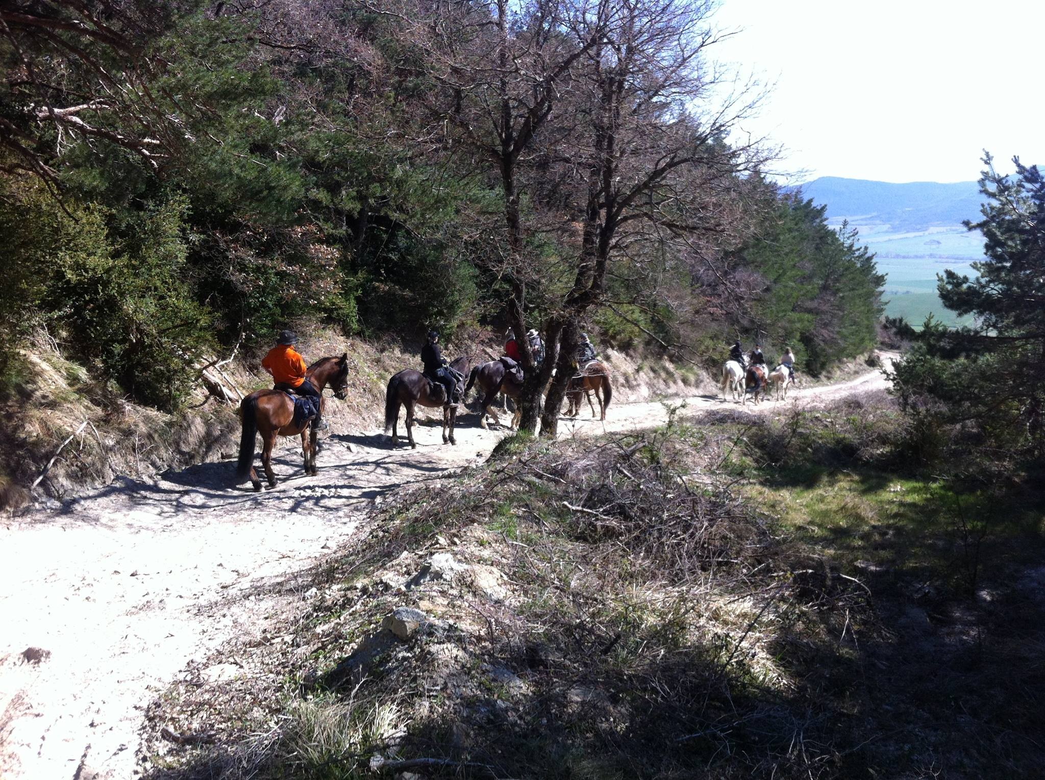 Camino del Rocío a través de Navarra